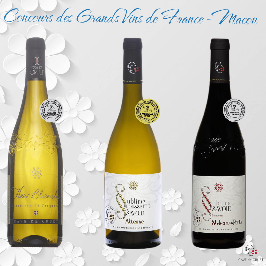 Coffret Cadeau de Grands Vins Français au verre - Achat / Vente