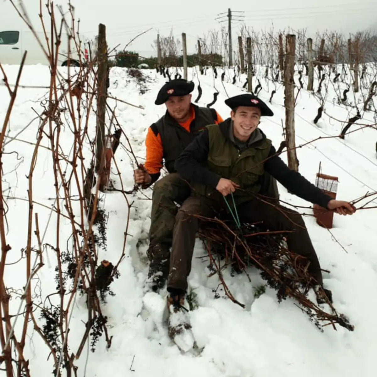 Portrait décalé n°2 : Nos vignerons Benoit et Maxime