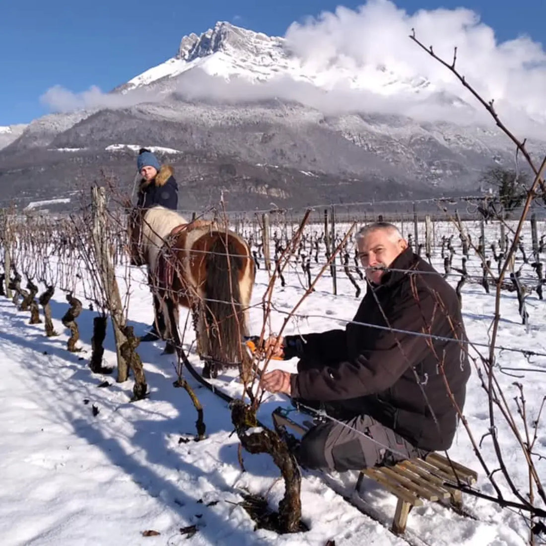 Portrait décalé n°1 :  Rodolphe Perrier