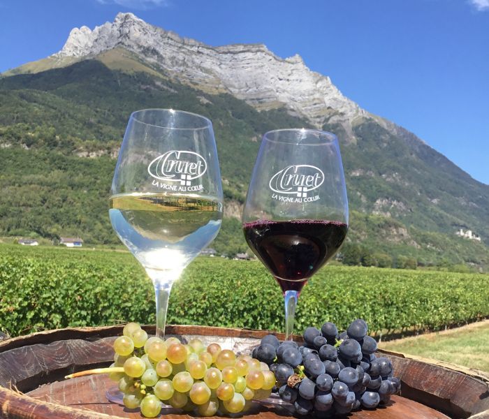 Comté de montagne - Fromages et Vins de Savoie